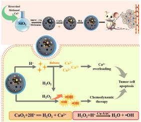 A TME-responsive nanocatalytic platform for synergistically enhanced chemodynamic therapy through calcium overload for precision cancer treatment