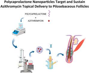 Polycaprolactone nanoparticles for targeted and prolonged topical delivery of azithromycin to pilosebaceous follicles