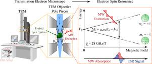 Electron spin resonance spectroscopy in a transmission electron microscope