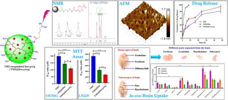 Poly-l-arginine grafted PAMAM dendrimers for the brain delivery of Temozolomide in the management of Glioblastoma multiforme: In-vitro and In-vivo evaluation