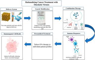 Revolutionizing cancer treatment with oncolytic viruses: From tumor targeting and metabolic reprogramming to immune activation and precision delivery