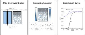 Multi-species ion exchange model with competitive adsorption for iron removal in PEM water electrolysis