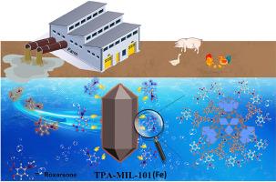 Triphenylamine functionalized metal-organic framework NH2-MIL-101 (Fe) for efficient removal of roxarsone from wastewater