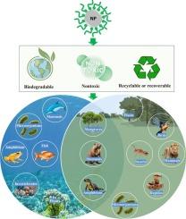 Toward green and sustainable dielectric nanofluids: surfactant impacts on stability, properties, and regulations
