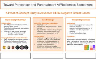 Artificial intelligence and radiomics biomarkers for treatment response prediction in advanced HER2-negative breast cancer