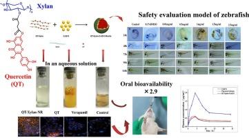 Quercetin conjugated xylan nanomicelles with P-gp inhibition and enhancement of oral bioavailability of insoluble drug Coenzyme Q10