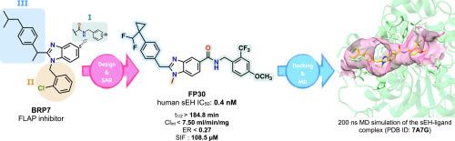 Harnessing structure-activity relationships to repurpose the FLAP inhibitor BRP-7 into potent and selective sEH inhibitors