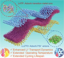Dynamics-enhanced sandwich solid-state electrolyte separator for wide-temperature operation of lithium metal batteries