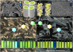 Bent-core hexacatenar liquid crystals with diphenylmethane or benzophenone core and salicylaldimine arms: Self-assembly and dual-modality fluorescence probe
