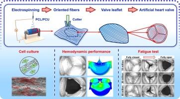 Anisotropic electrospun poly(ε-caprolactone)/polycarbonate urethane scaffolds with improved fatigue performance for tissue-engineered heart valves