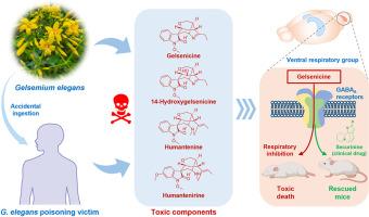 The toxic components, toxicological mechanism and effective antidote for Gelsemium elegans poisoning