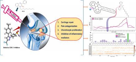 Multi-scale investigation of PQ3-quinoxaline derivatives as selective COX-2 inhibitors: synthesis, structural analysis, DFT, MD simulations, and in silico/in vitro evaluation