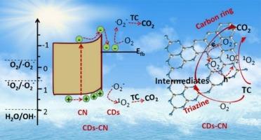 Sub-band engineered carbon dots/g-C3N4 heterojunction for boosting tetracycline degradation via dual reactive oxygen species