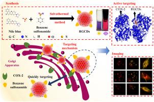 Golgi-targeting red-emissive carbon dots: synthesis, properties and bioimaging