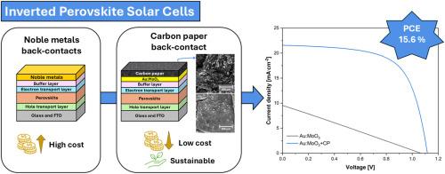 Highly efficient and cost-effective carbon paper electrode for inverted perovskite solar cells