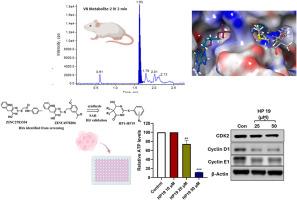 Synthesis, molecular modeling, biological and pharmacokinetic evaluation of hydroxy pyrimidinones and pyrimidinediones as novel LDHA inhibitors