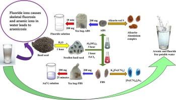 Engineered basil seed hydrogel for eco-conscious adsorption of anionic contaminants in groundwater