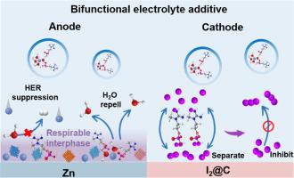 Bifunctional electrolyte additive sustains high efficient zinc-iodine batteries via respirable-interphase formation and polyiodide ion suppression