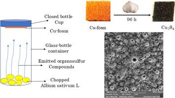 Room-temperature volatile organosulfurs for synthesis of hierarchical Cu7S4 hollow nanotubelets for photodegradation of organic pollutants
