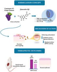 Grape pomace and quercetin: a synergistic approach using PG-PEVs for Psoriasis treatment