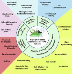 Biopolymer-based membranes and their application in per- and polyfluorinated substances removal: Perspective review