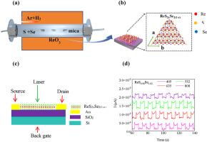 Controllable growth and photodetectors of centimeter-scale 2D ReS2xSe2(1-x) alloy films