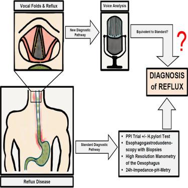 The voice of reflux: A systematic review about acoustic voice analysis in reflux patients