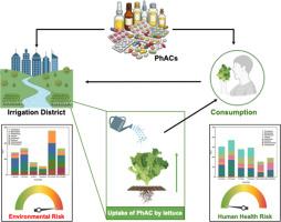 Occurrence and risk assessment of pharmaceuticals in irrigation water and lettuce crops in Colombia