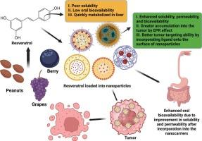 Smart nanoparticle delivery systems for resveratrol: A targeted strategy to enhance anticancer efficacy and bioavailability