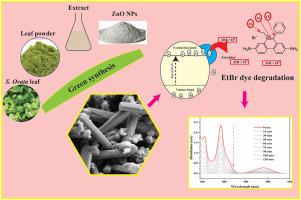 Evaluation of biogenic zinc oxide nanoparticles from Sonneratia ovata leaf extract for multivariate factorial photocatalytic and biological activities