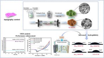 Mo-doping directed nanoflower architecture in NiFe phosphide for ultralow-overpotential oxygen evolution catalysis