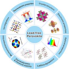 Recent advances of theoretical investigation on lead-free metal halide perovskites