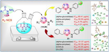 Synthesis and biological evaluations of 1,3,4-thiadiazole derivatives as dual acting enzyme inhibitors to target inflammation and diabetes