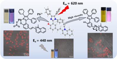 Quinoline-imidazole based hydrophilic “turn-on” fluorescent probe for specific detection of Pb2+ and viscosity