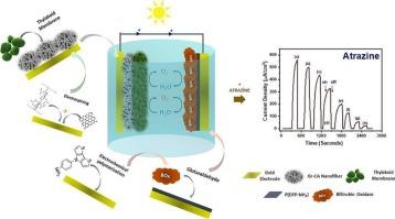 Environmentally benign biophotovoltaic cell using thylakoid membrane and graphene–cellulose nanocomposite for solar energy harvesting and photoelectrochemical monitoring of waterborne herbicides