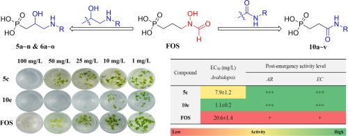 Design and synthesis of aminol- and phenylamide-containing phosphonic acids and their biological activity evaluation