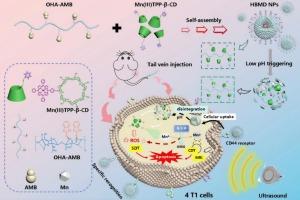 Mn(III)-porphyrin/hyaluronic acid nanoparticles for enhanced sonodynamic/chemodynamic synergistic therapy via remodeling tumor reductive microenvironment