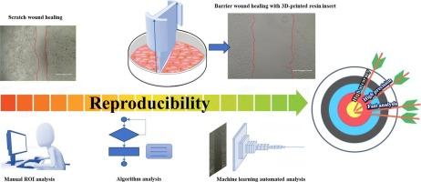 3D-printed barriers with machine learning powered image analysis for enhanced wound healing assays