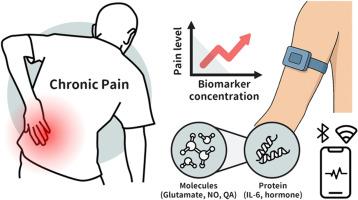 An analytical review of biosensor-based chronic pain quantification in healthcare