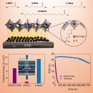 A chemically bonded monolayer interface enables enhanced thermal stability and efficiency in Pb-Sn perovskite solar cells