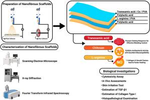 Smart dressings accelerating wound healing with tranexamic acid-infused aligned electrospun nanofibers: In vitro and In vivo assessments