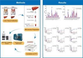 The regulatory roles of pparα on hepatic drug-metabolizing enzymes in primary sclerosing cholangitis Syrian hamsters