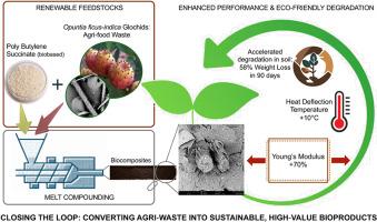 Sustainable biocomposites from polybutylene succinate reinforced with glochids: Combining waste valorization with improved material properties and accelerated biodegradability