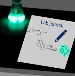 The light Dwarf: Chemiluminescent Poly(2-oxazoline) as a reactive oxygen Species-triggered material for bioimaging and drug delivery