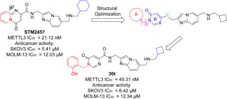 Identification of novel 2, 6-Di-substituted Imidazo[1,2-a]pyridine derivatives as potent METTL3 inhibitors