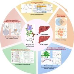 Unveiling the toxicity secrets of eugenol-like compounds: from interaction mechanisms to treatment strategies