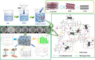 Enhanced performance of nanoplate-carbon nanotube reinforced poly(butylene succinate) nanocomposites for sustainable packaging and multifunctional applications