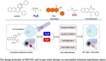 Sequential controlled H₂S/CO dual delivery via a self-reporting fluorogenic donor synergistically attenuates myocardial ischemia-reperfusion injury
