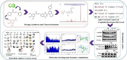 Design and synthesis of novel quinoline-chalcone derivatives as dual inhibitors of tubulin polymerization and P-glycoprotein to overcome cisplatin resistance in cervical cancer