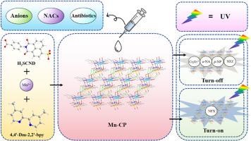 A coordination polymer based on mixed ligand strategy: Synthesis, structural investigation, and fluorescence performance